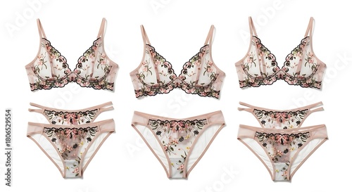 Elegant lingerie set floral embroidery isolated on white