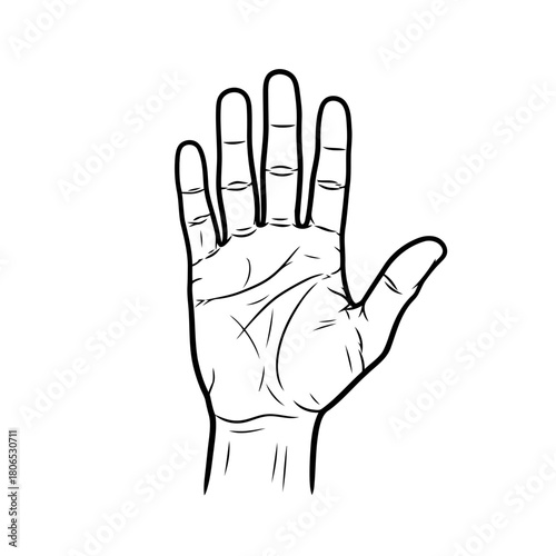 Open hand isolated on, showcasing palm lines and fingers in a simple, elegant line art style