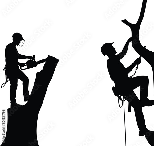 Silhouette of two arborists cutting trees with chainsaws, professional tree workers using safety gear, black and white vector illustration