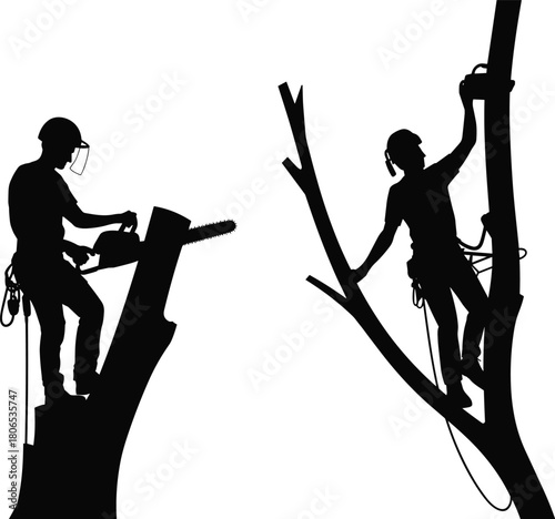 Silhouette of two arborists cutting trees with chainsaws, professional tree workers using safety gear, black and white vector illustration