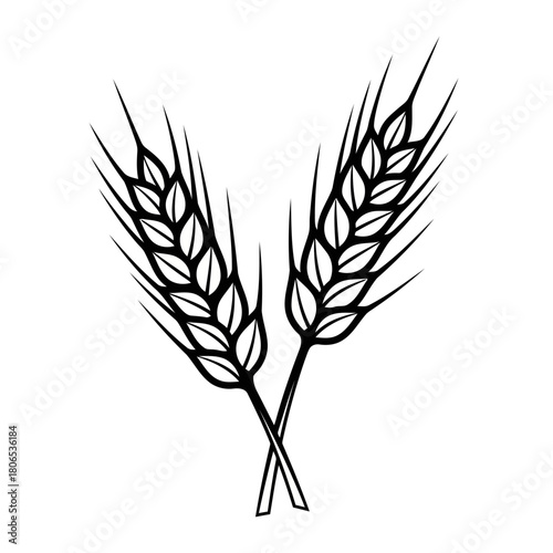 Two wheat stalks crossed isolated on, a symbol of agriculture and harvest, representing grain, bread, and rural life