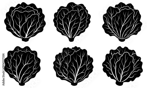 Six black and white stylized lettuce heads arranged in two rows on a white background vector image