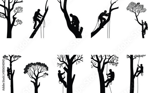 Silhouette set of arborists pruning and climbing trees with ropes, harnesses, and professional tools