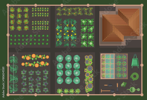 Top view of kitchen-garden with tomatoes, cucumbers, cabbage, zucchini, pumpkin, garden tools, roof. Vector illustration of kaleyard. View from above. Set of icons. Aerial