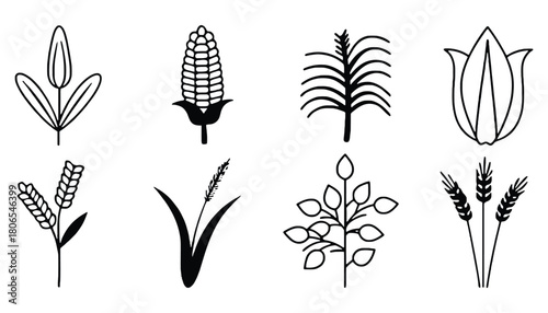 Agricultural crops vector illustration set farming icons