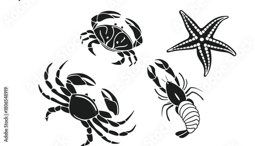 Black and white sea creatures vector graphic for design needs