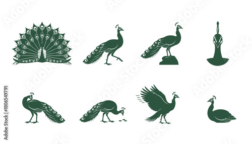 Elegant peacock bird silhouettes showcasing various poses, including fanned tail feathers, walking, and standing, perfect for nature and exotic themes.