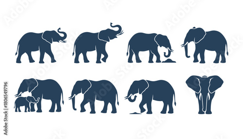 Comprehensive set of elephant animal silhouettes in various poses, including adult and baby elephants, perfect for African wildlife and nature designs.