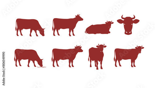 Cow Cattle Livestock Vector Silhouettes: Set of Red Icons of Farm Animals in Different Poses Including Grazing and Standing