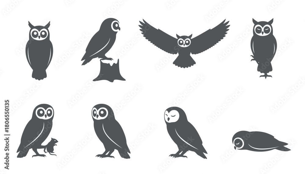 Obraz premium Owl Bird Vector Silhouettes Set: Monochrome Icons of Nocturnal Raptors Perching, Flying, and Hunting in Various Poses