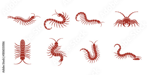 Centipede Myriapod Vector Silhouettes: Set of Red Icons of Multi-Legged Arthropods in Various Coiled and Crawling Poses