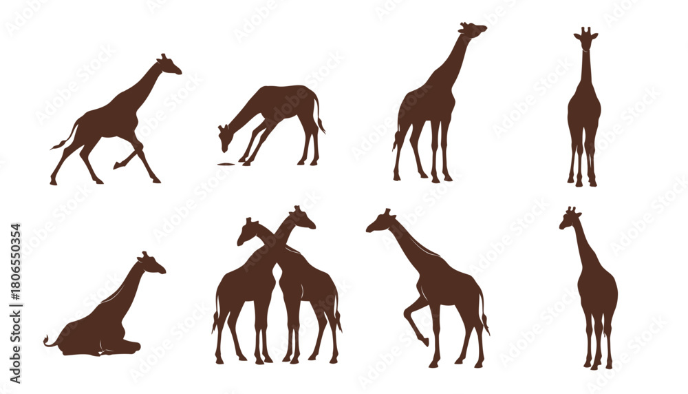 Naklejka premium Collection of Giraffe Icons Vector Illustration, showcasing Tall African Mammal Silhouettes in Various Poses like Walking, Drinking, and Standing