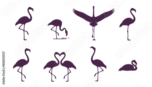 Set of Flamingo Icons Vector Illustration, featuring Wading Bird Silhouettes in Various Poses including Standing, Feeding, and Spreading Wings