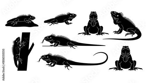 Set of Iguana Silhouettes Vector Illustration, featuring Tropical Reptiles in Various Poses like Climbing Tree, Resting, and Front View with Tongue Out