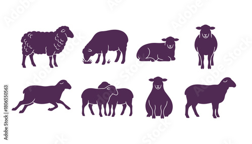 Set of Sheep Icons Vector Illustration, featuring Domestic Mammal Silhouettes in Various Poses like Grazing, Standing, and Lying Down in Purple Color