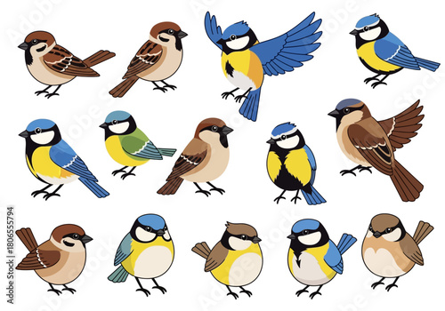 Cute Cartoon Bird Collection Vector Illustration: Adorable Bluebird, Sparrow, and Titmouse Character Set for Kids and Nature Designs