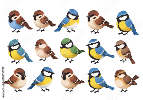 Cute Cartoon Bird Collection Vector Illustration: Adorable Bluebird, Sparrow, and Titmouse Character Set for Kids and Nature Designs