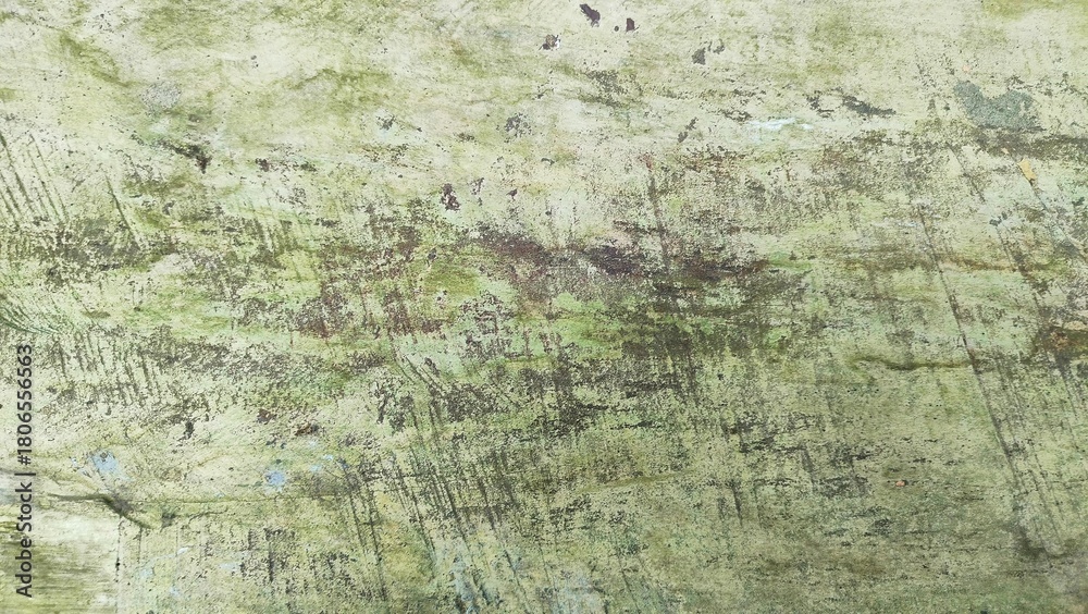 Obraz premium old wood texture. Top view of wood vein cut. light brown white textured tree trunk with veined inner surface. Close up of wood texture