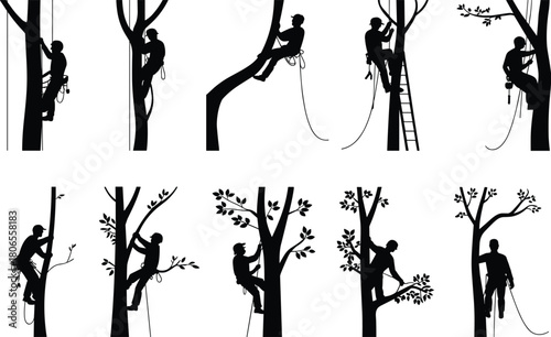 Tree climber arborist silhouettes working with ropes and ladders, professional tree trimming, pruning and maintenance, black and white illustration set