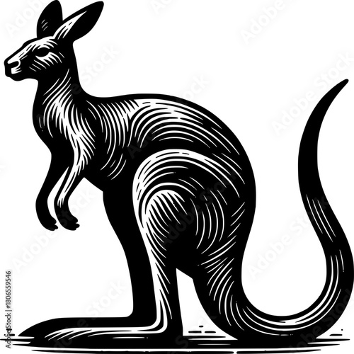 Kangaroo Artwork: A detailed monochrome illustration of a kangaroo, highlighting its distinctive features and powerful stance.