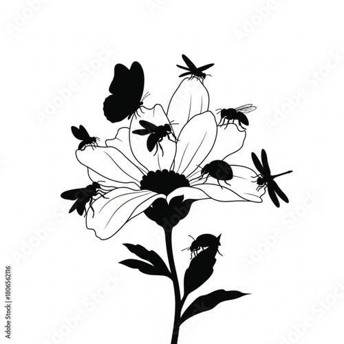 black and white flower vector and insects