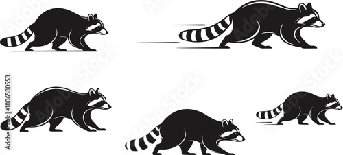 Cartoon raccoon silhouette icons set, black vector animal shapes, walking and running poses, wildlife motion sequence, isolated on white background