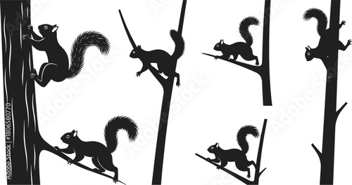 Squirrel climbing silhouette icons set, black vector animal shapes, tree branch poses, wildlife motion, nature theme, isolated on white background