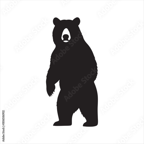 brown bear vector