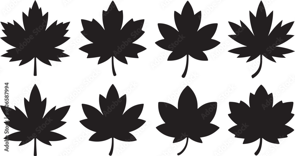 Obraz premium Eight Black Silhouette Maple Leaves with Stems maple leaf