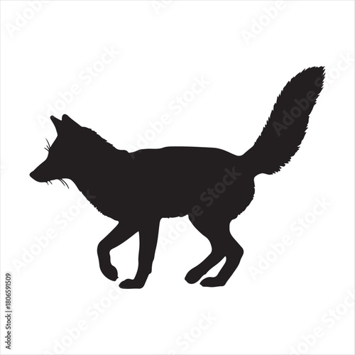 black cat silhouette