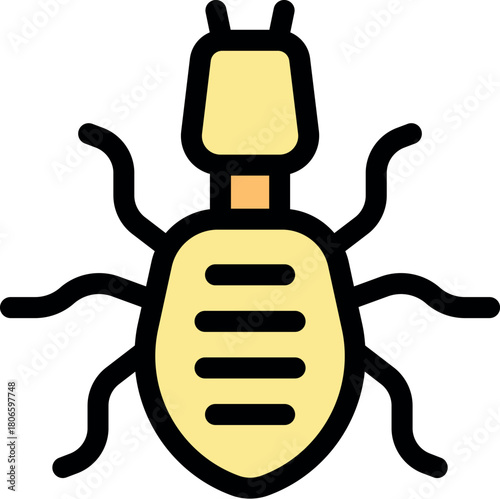 Termite insect pest bug creeping crawling causing damage infestation