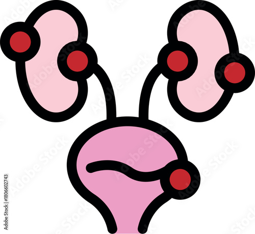 Medical infographic representing human urinary system with kidneys filtering blood and producing urine stored in bladder, promoting healthy lifestyle and disease prevention