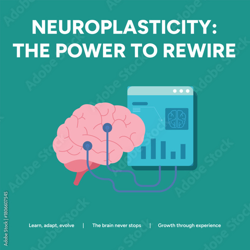 Neuroplasticity the power to rewire the brain for growth and learning