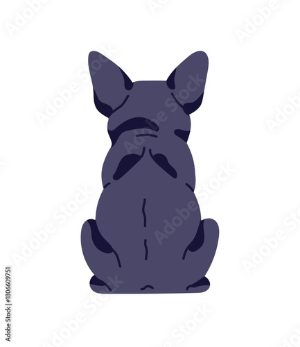 Turned away cute French bulldog with black color of coat. Back view of funny toy dog. Backside of adorable puppy. Behind of sitting pet, animal. Flat isolated vector illustration on white background