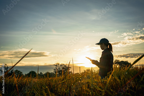Silhouette of Asian woman farmer in yellow paddy rice field under warm sunrise sunlight and works with digital tablet. Smart farming and digital agriculture.