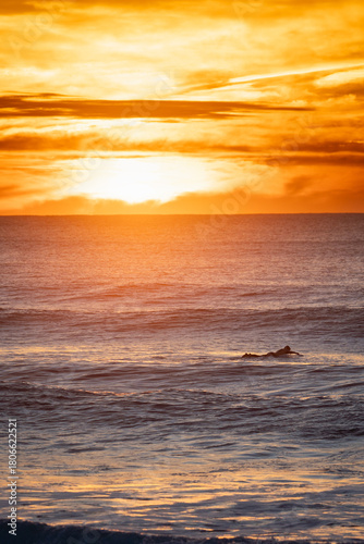 Surfer Silhouette During Ocean Sunset
