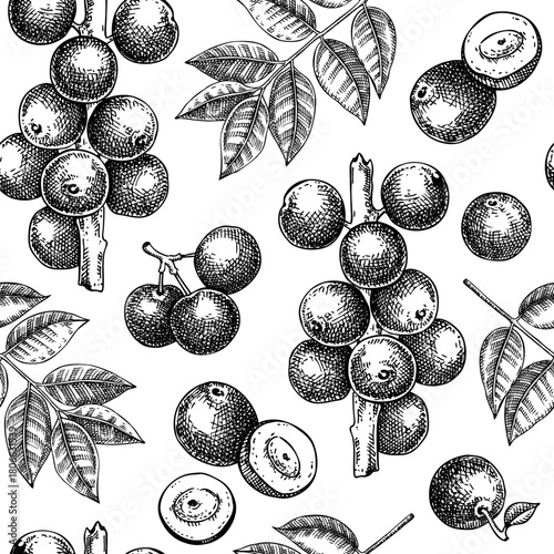 Jaboticaba background. Tropical fruit pattern. Brazilian grape tree hand drawn vector illustration. Exotic food seamless design. NOT AI generated