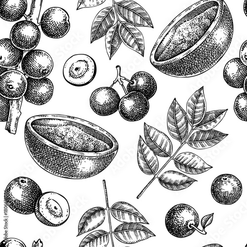 Jaboticaba background. Tropical fruit pattern. Brazilian grape tree hand drawn vector illustration. Exotic food seamless design. NOT AI generated