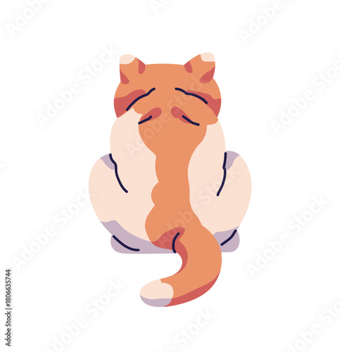Back view of sitting cat. Cute kitten of exotic shorthair or persian breed backside. Turned away kitty with patterned coat. Behind pet, animal with tail. Flat isolated vector illustration on white