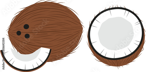 Coconut Fruit Vector Illustration, Whole, Half, and Slice Tropical Food.