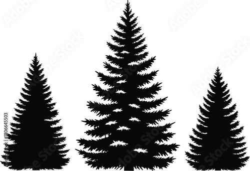 Realistic black silhouettes of three detailed fir, spruce, or pine trees in various sizes, forest nature vector graphics icon set.