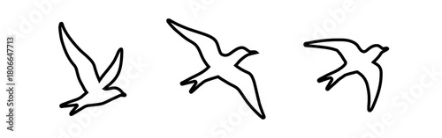 Three bird outlines in varied flight poses against a stark white background