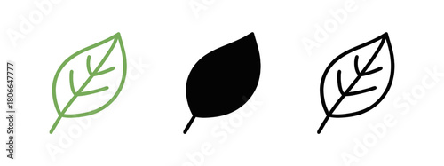 Simple leaves in various line styles in a row on white background