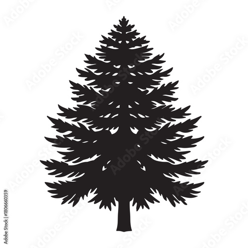 Western red cedar silhouette black vector icon