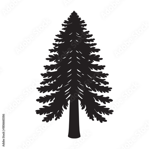 Giant sequoia world  largest tree silhouette vector icon