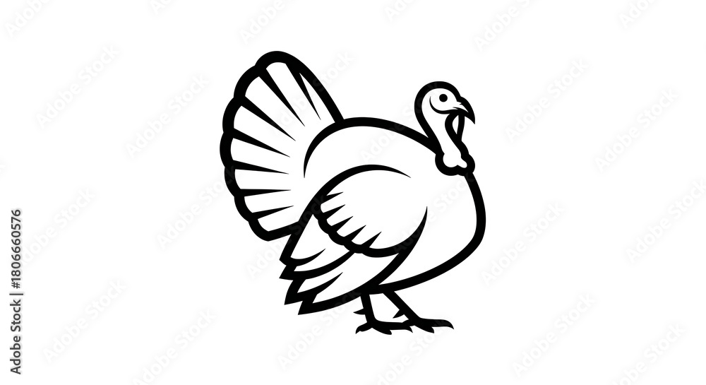 Fototapeta premium A simple line drawing of a turkey with its tail feathers fanned out isolated on white background