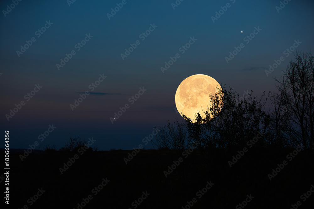 Fototapeta premium Full Moon, stars, planets and landscape scenery silhouettes.