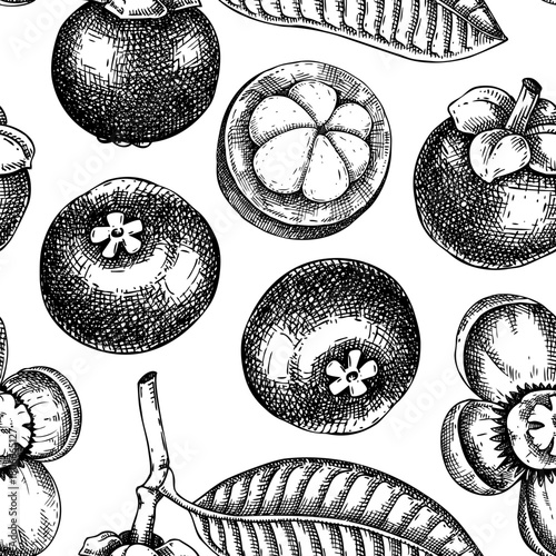 Mangosteen background. Sketch style Tropical fruit pattern. Exotic plant hand drawn vector illustration. NOT AI generated