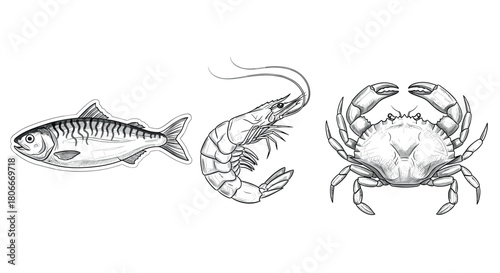 Hand drawn seafood collection featuring fish, shrimp, and crab in detailed sketch style