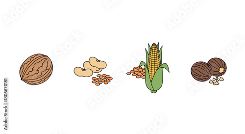 Colorful flat icons of nuts, beans, corn, and seeds on white background